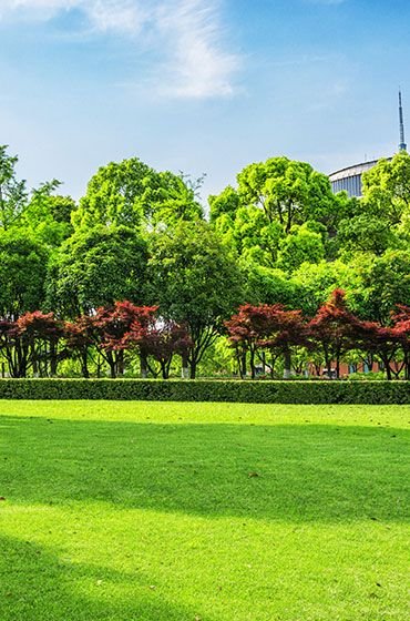 Landscaped central green lawn — 70% open area at Ace Sector 150, Noida
